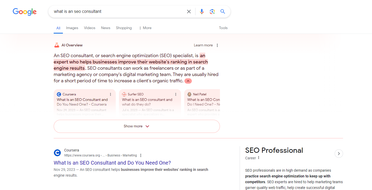 AI Overview result SEO Consultant