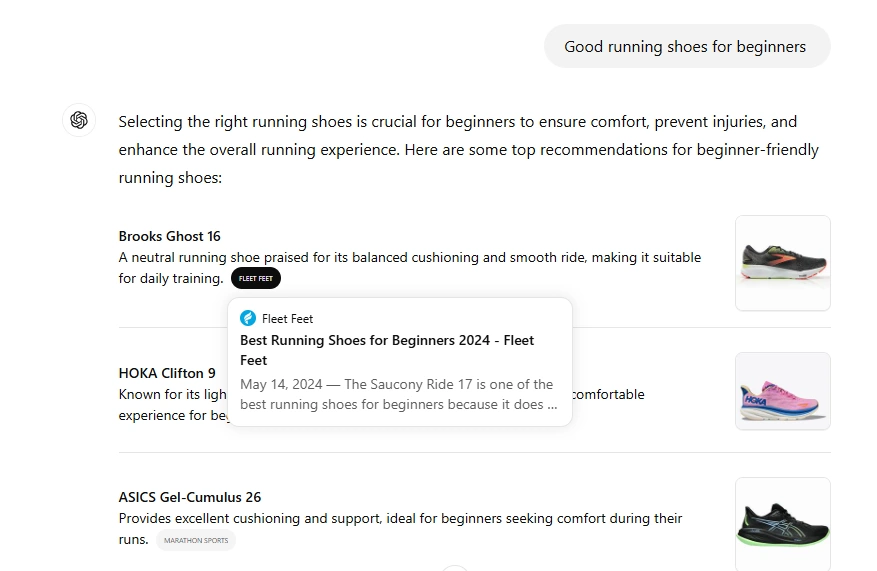 ChatGPT Search results for produts